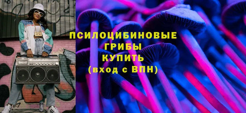 Псилоцибиновые грибы Magic Shrooms  Пионерский 